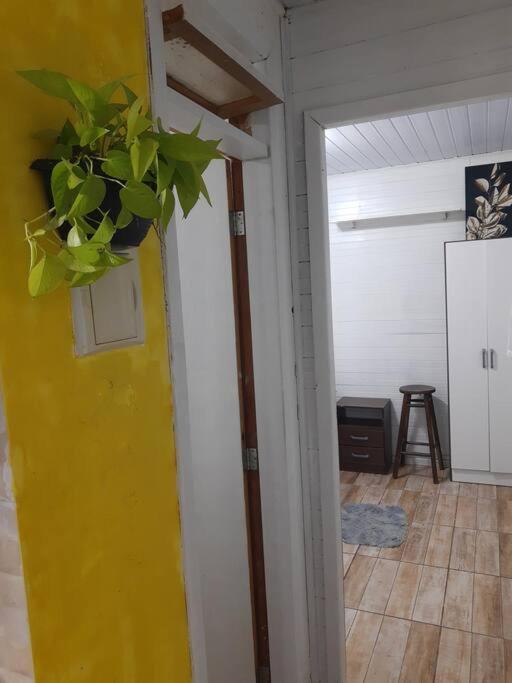 Apartamento Townhousefloripa I Do Mocambique Riovermelho
