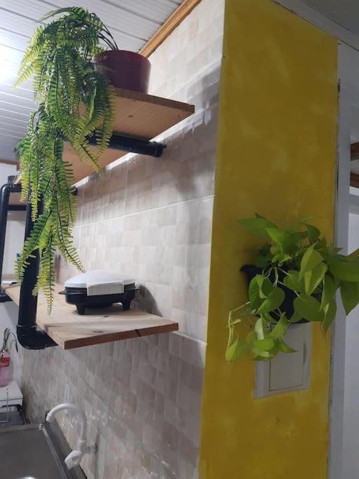 Apartamento Townhousefloripa I Do Mocambique Riovermelho *